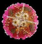 MATRITA SILICON SUPORTI PAHARE FORMA ROTUNDA - imagine 2